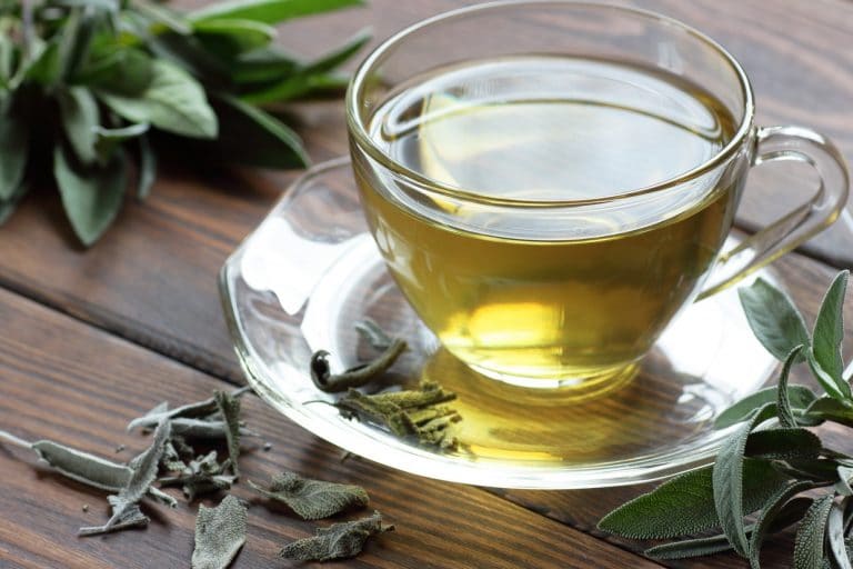 WHEN IS THE BEST TIME TO DRINK GREEN TEA?